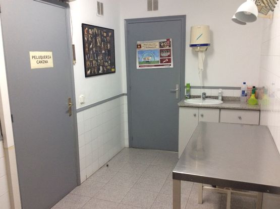 Centro Veterinario Viladecans interior de la clínica